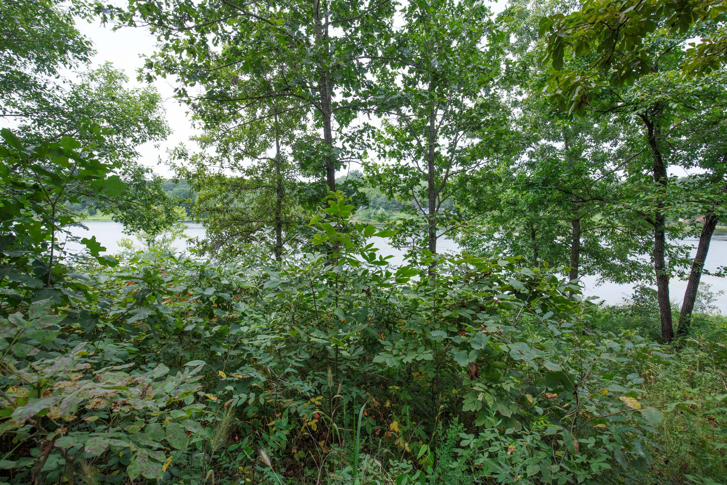 Tract 21 at Springlake in Miller County, Missouri