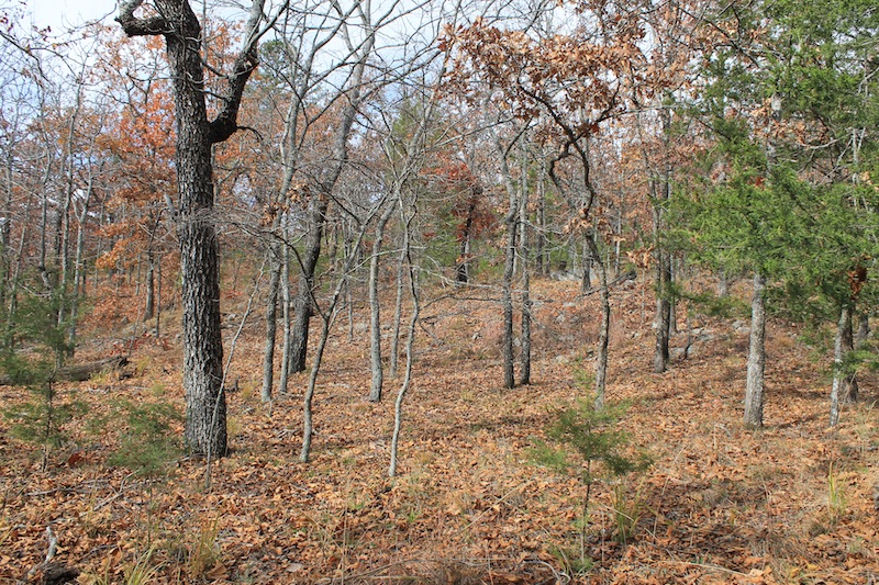 Tract 10 at Indian Ridge Phase I in Pittsburg County, Oklahoma