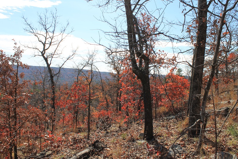 Tract 12 at Indian Ridge Phase I in Pittsburg County, Oklahoma