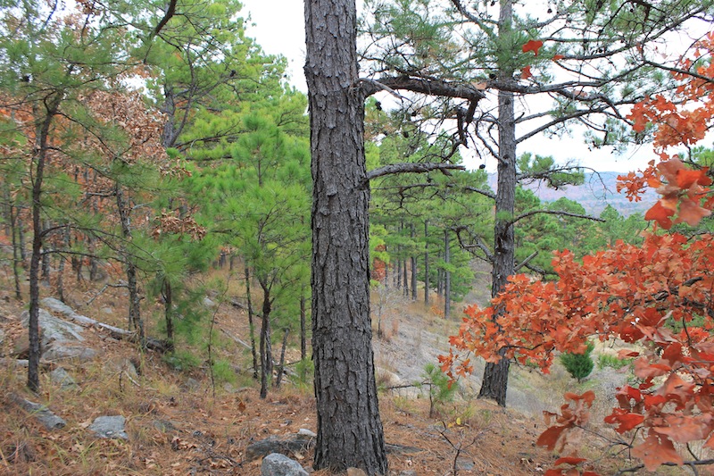 Tract 15 at Indian Ridge Phase I in Pittsburg County, Oklahoma