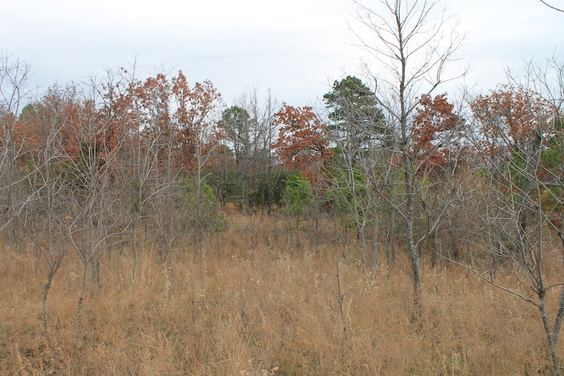 Tract 18 at Indian Ridge Phase I in Pittsburg County, Oklahoma