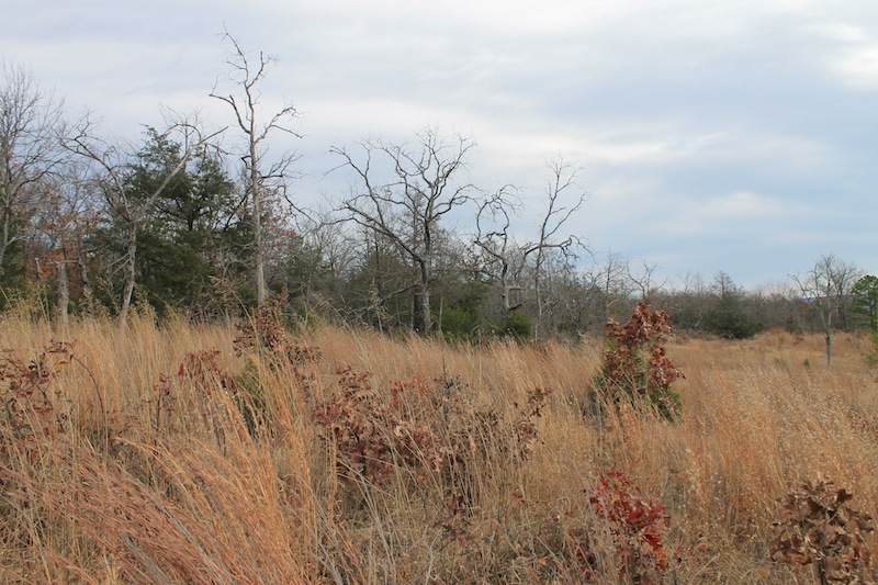 Tract 19 at Indian Ridge Phase I in Pittsburg County, Oklahoma