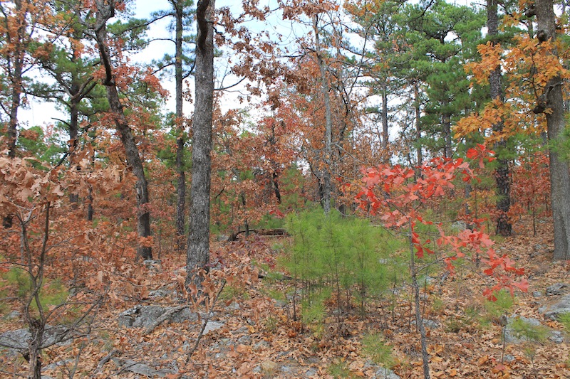 Tract 2 at Indian Ridge Phase I in Pittsburg County, Oklahoma