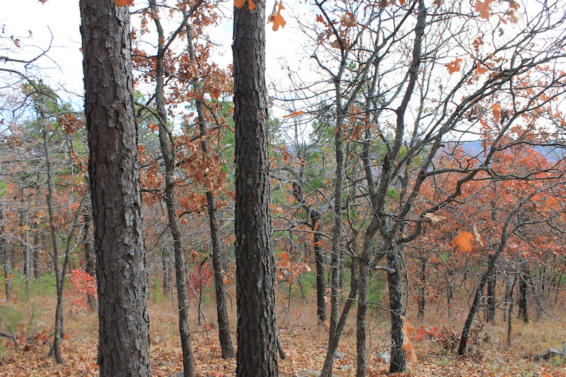 Tract 4 at Indian Ridge Phase I in Pittsburg County, Oklahoma