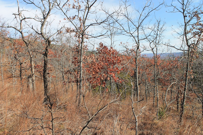Tract 5 at Indian Ridge Phase I in Pittsburg County, Oklahoma